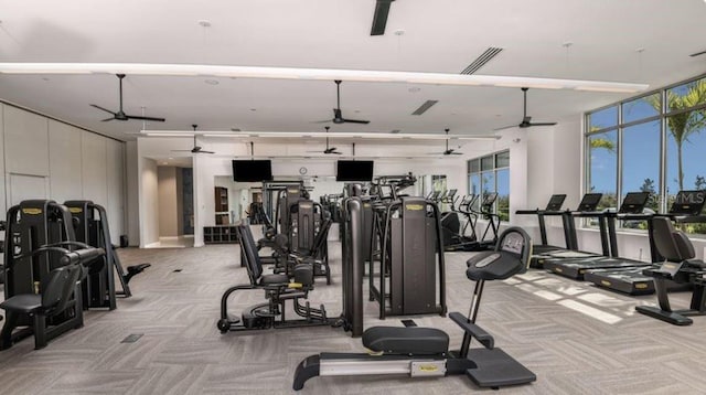 gym with ceiling fan, carpet flooring, and visible vents