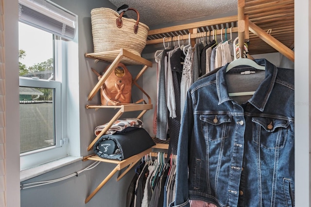 view of walk in closet