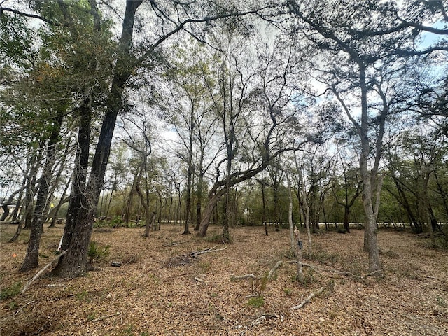 9035 Realstone Dr, Webster FL, 33597 land for sale