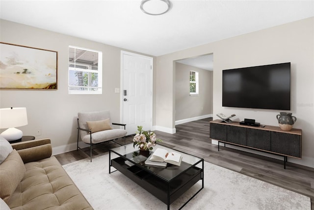 living room featuring baseboards and wood finished floors