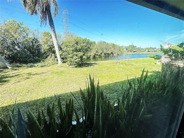 view of yard featuring a water view