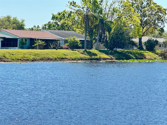 view of water feature