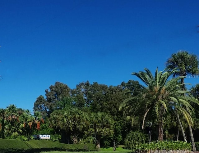 view of property's community featuring a yard