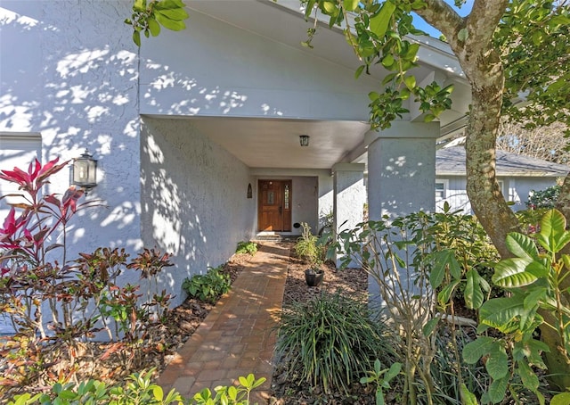 entrance to property featuring stucco siding