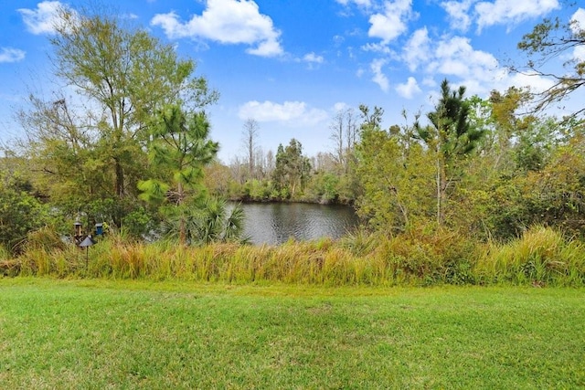 view of water feature featuring a view of trees