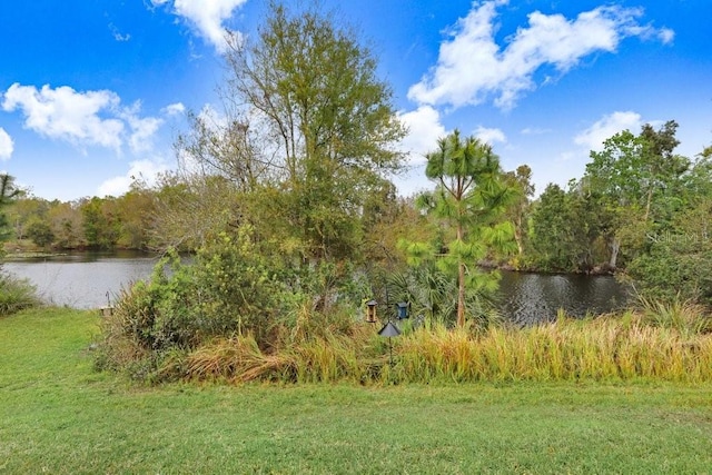 view of water feature featuring a forest view