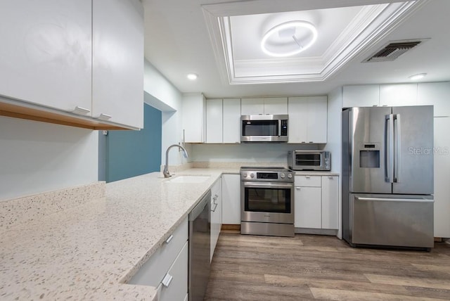 kitchen featuring wood finished floors, visible vents, a sink, stainless steel appliances, and a raised ceiling