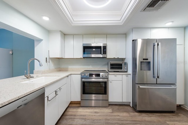 kitchen with visible vents, a sink, ornamental molding, stainless steel appliances, and a raised ceiling