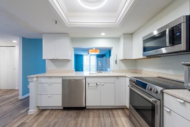 kitchen with a tray ceiling, light wood-style flooring, a sink, stainless steel appliances, and crown molding