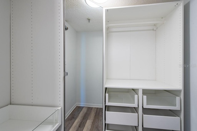 walk in closet featuring wood finished floors