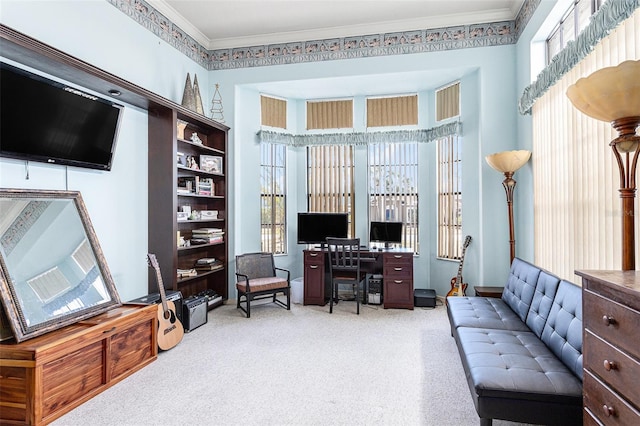 carpeted office featuring crown molding