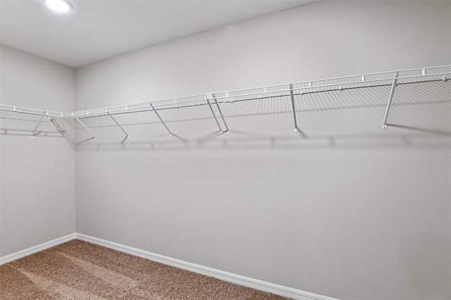 spacious closet with carpet