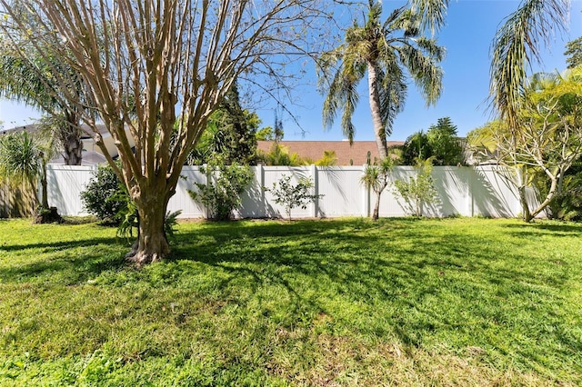 15703 Jericho Dr, Odessa, FL 33556 - view of yard