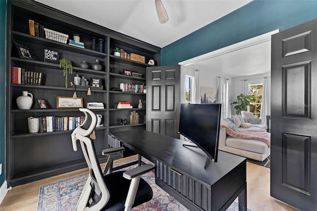 15703 Jericho Dr, Odessa, FL 33556 - home office featuring light wood-style flooring and built in features