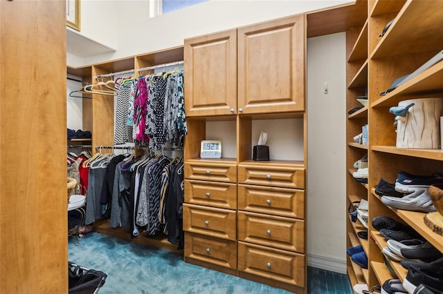 spacious closet with dark colored carpet