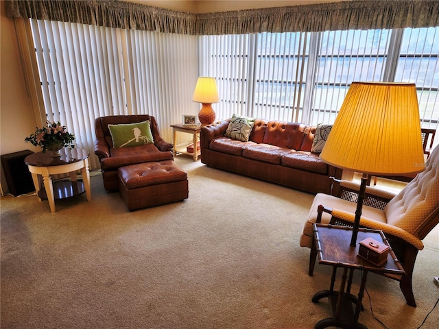 205 Dogwood Cir Unit 205, Seminole, FL 33777 - photo 10