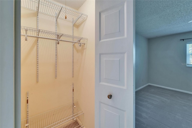 spacious closet with carpet flooring