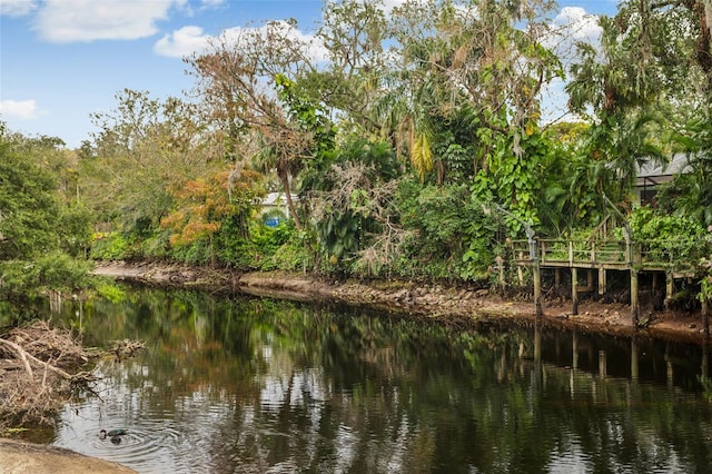 property view of water