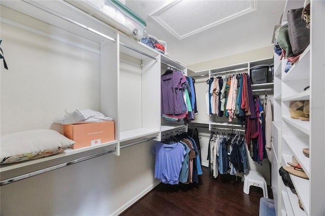 walk in closet with attic access and wood finished floors