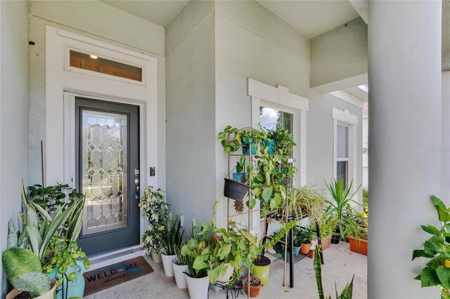 doorway to property with stucco siding