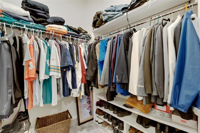 spacious closet featuring carpet flooring