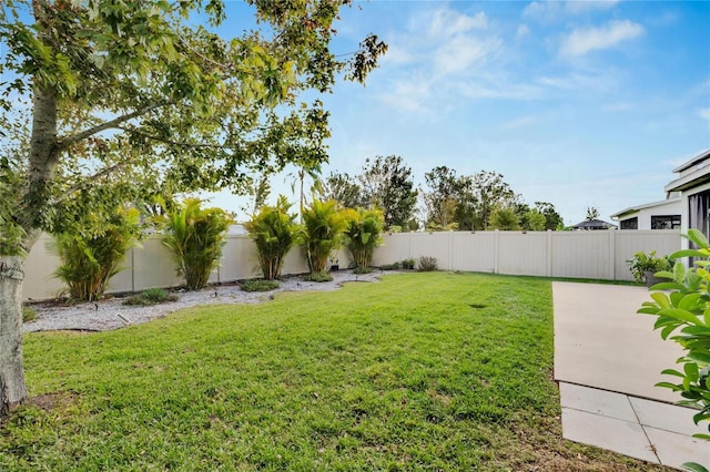 view of yard with a patio and a fenced backyard