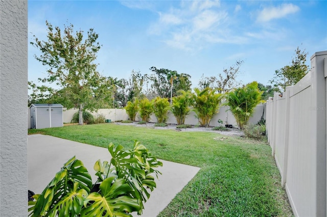 view of yard with a storage unit, a patio, an outbuilding, and a fenced backyard