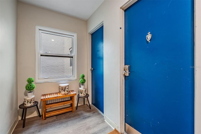 foyer with baseboards and wood finished floors