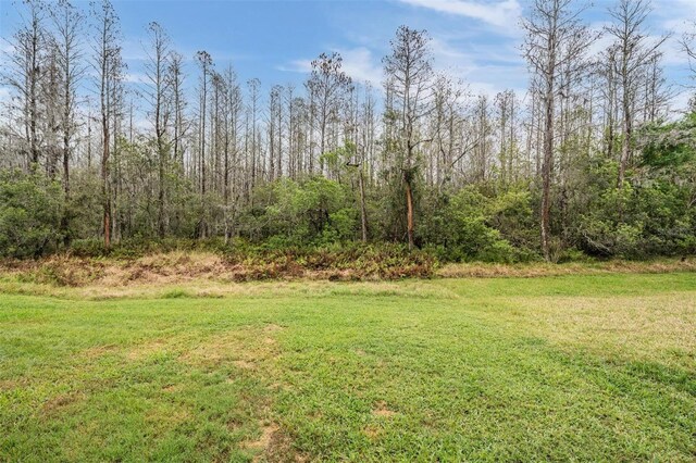 view of yard featuring a wooded view