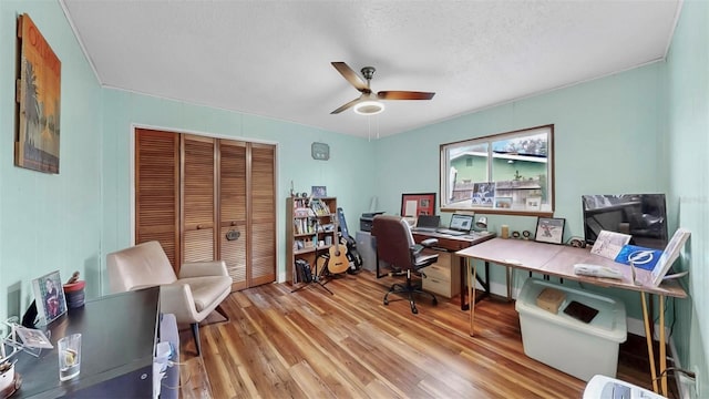 office area featuring light wood finished floors, a textured ceiling, and a ceiling fan