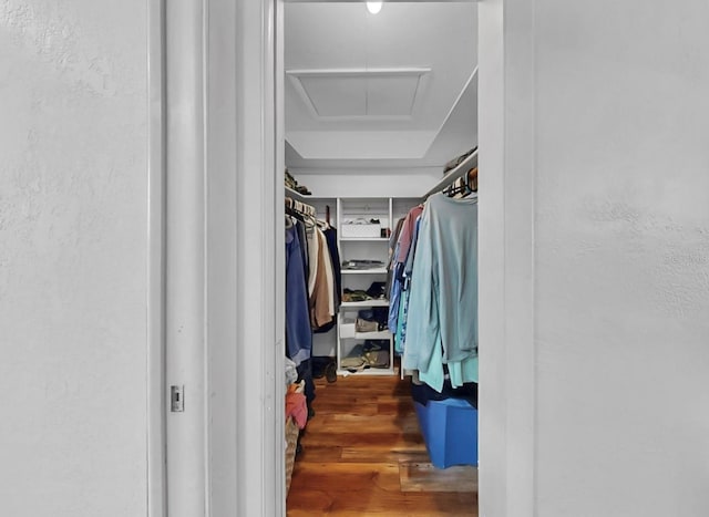 spacious closet featuring attic access and wood finished floors