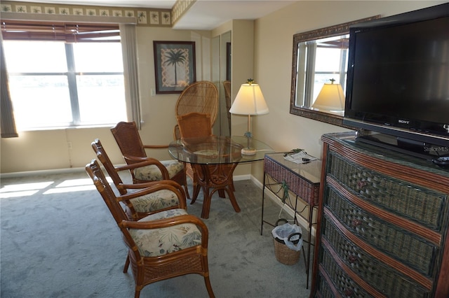 living area with baseboards and carpet floors