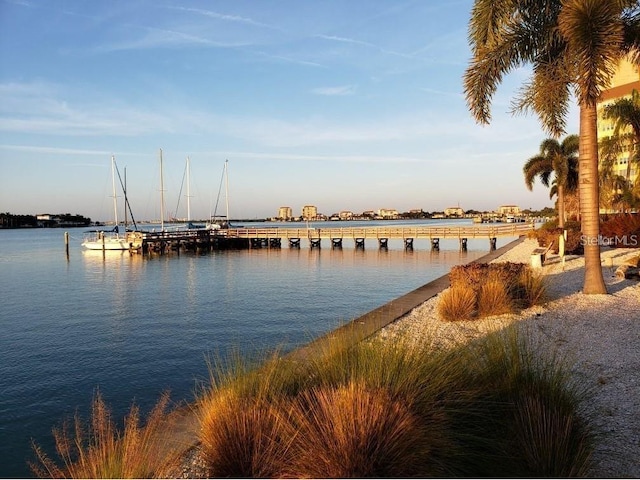 dock area featuring a water view