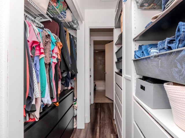 spacious closet with dark wood finished floors