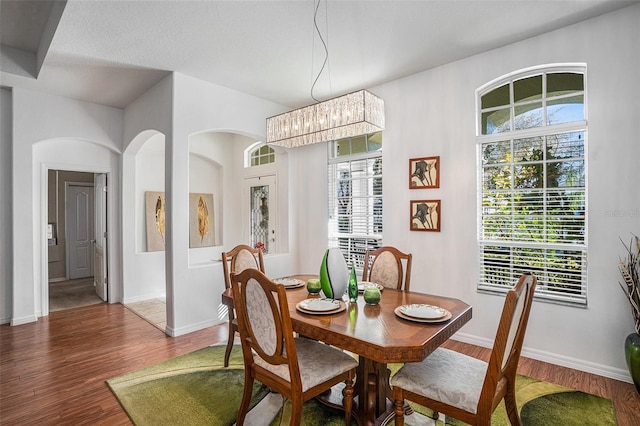 dining area featuring a healthy amount of sunlight, baseboards, and wood finished floors