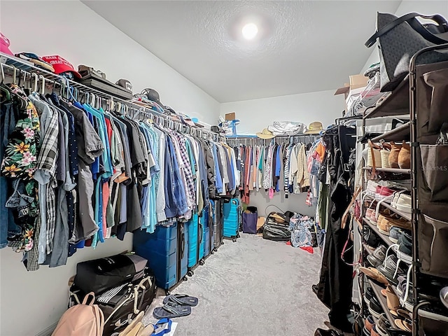 spacious closet featuring carpet