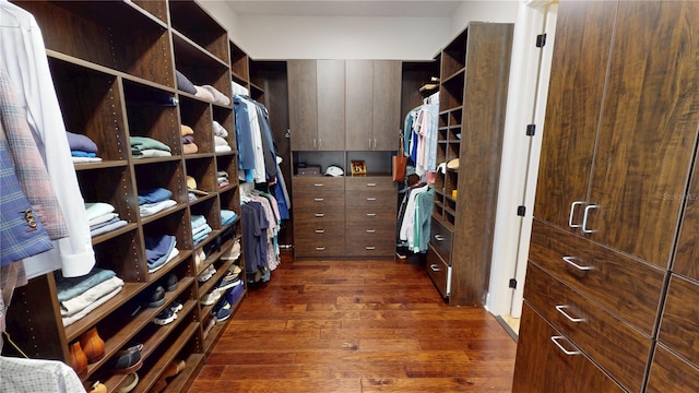 spacious closet with dark wood-style flooring