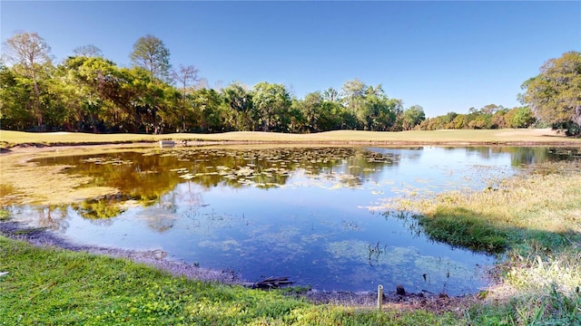 property view of water