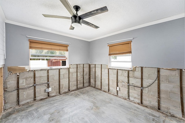 spare room featuring ceiling fan, ornamental molding, a wealth of natural light, and a textured ceiling