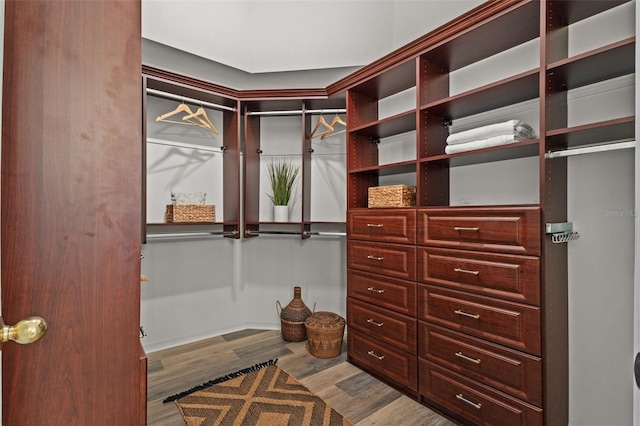 walk in closet featuring wood finished floors