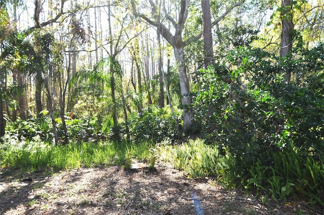 view of nature with a forest view