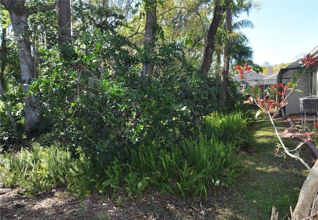 view of yard with central AC unit