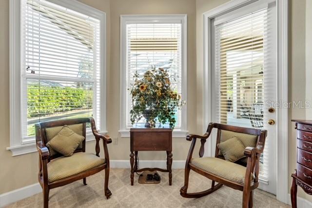 living area with a wealth of natural light and baseboards