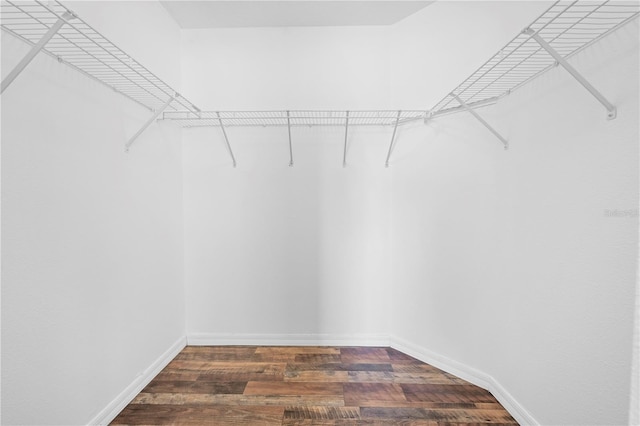 walk in closet with wood finished floors