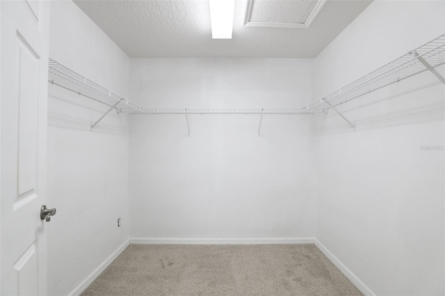 spacious closet with carpet