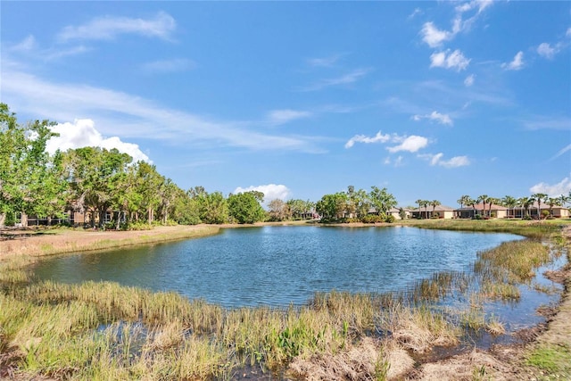 830 Regal Manor Way Unit 1, Sun City Center, FL 33573 - photo 41