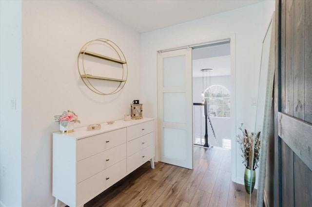 bathroom featuring wood finished floors and vanity