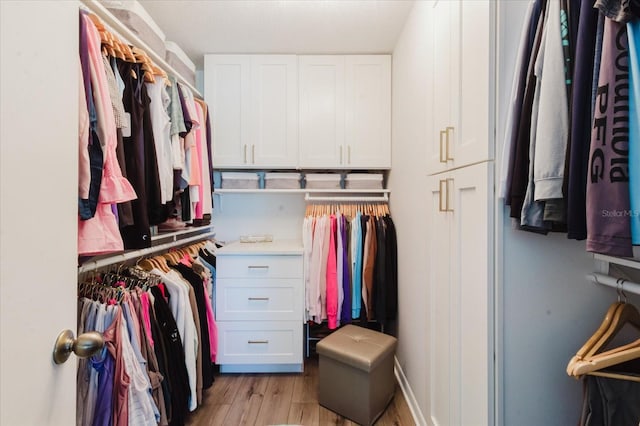 spacious closet with light wood finished floors