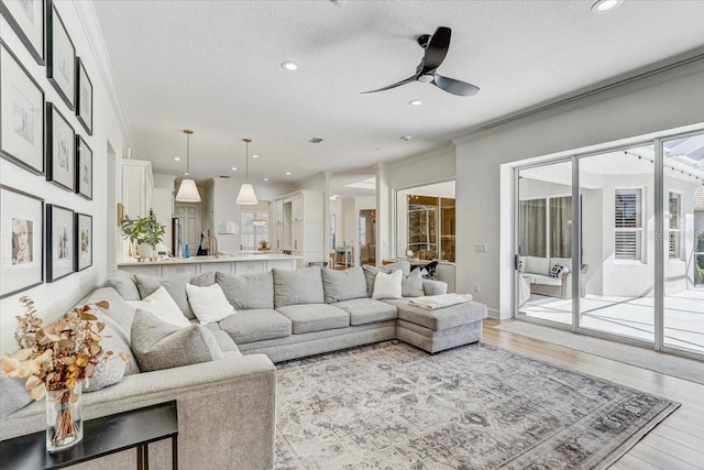 living room featuring a textured ceiling, a healthy amount of sunlight, light wood-type flooring, and ornamental molding