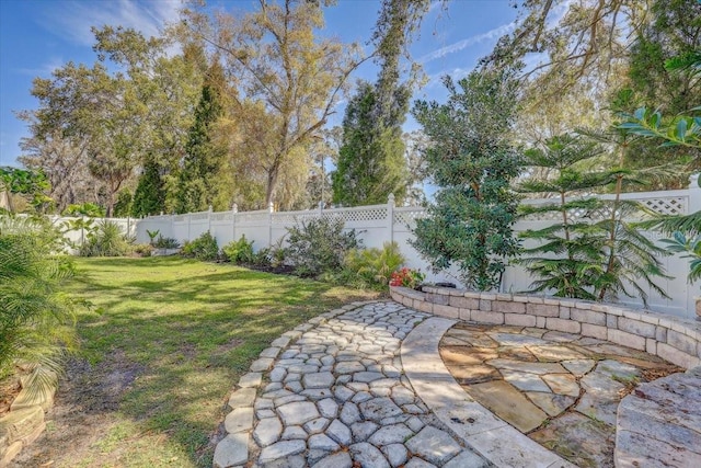 view of yard featuring a fenced backyard and a patio area